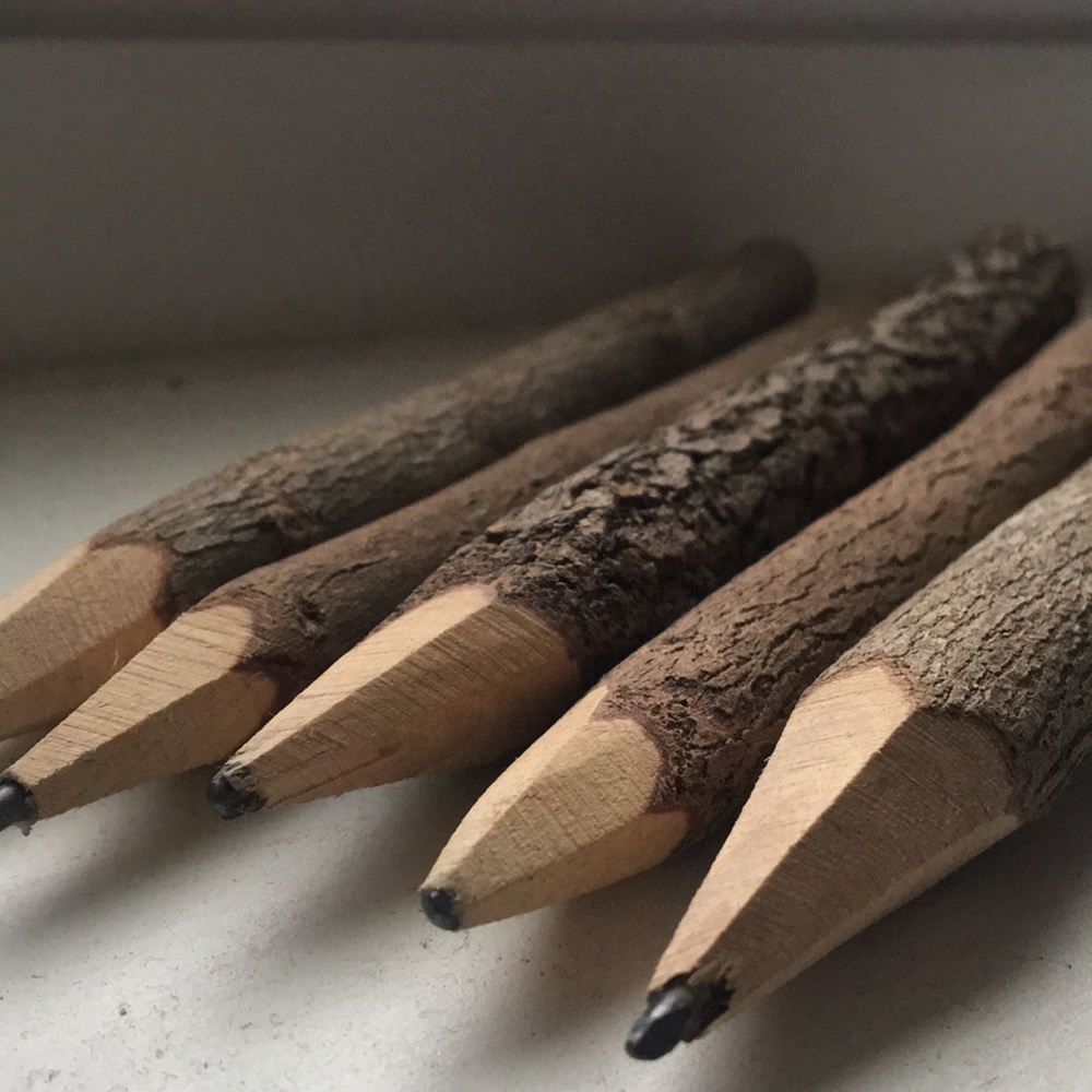 Tree Bark Pencils